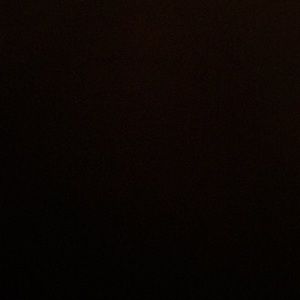 Meet your Posher, Darryl